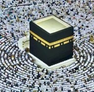 Meet your Posher, Fathia